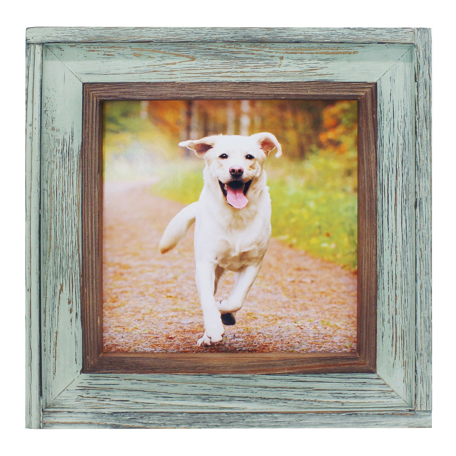 FRAME