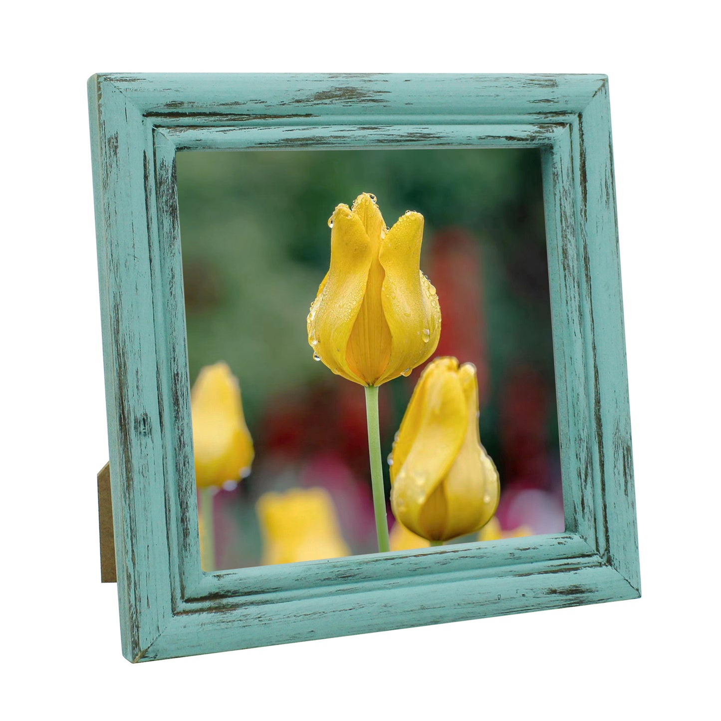 CVHOMEDECO. 6x6 Picture Frame Made of Solid Wood High Definition Glass Rustic Antique Designs Small Photo Frame for Tabletop Display and Wall Mounting, Distress Blue