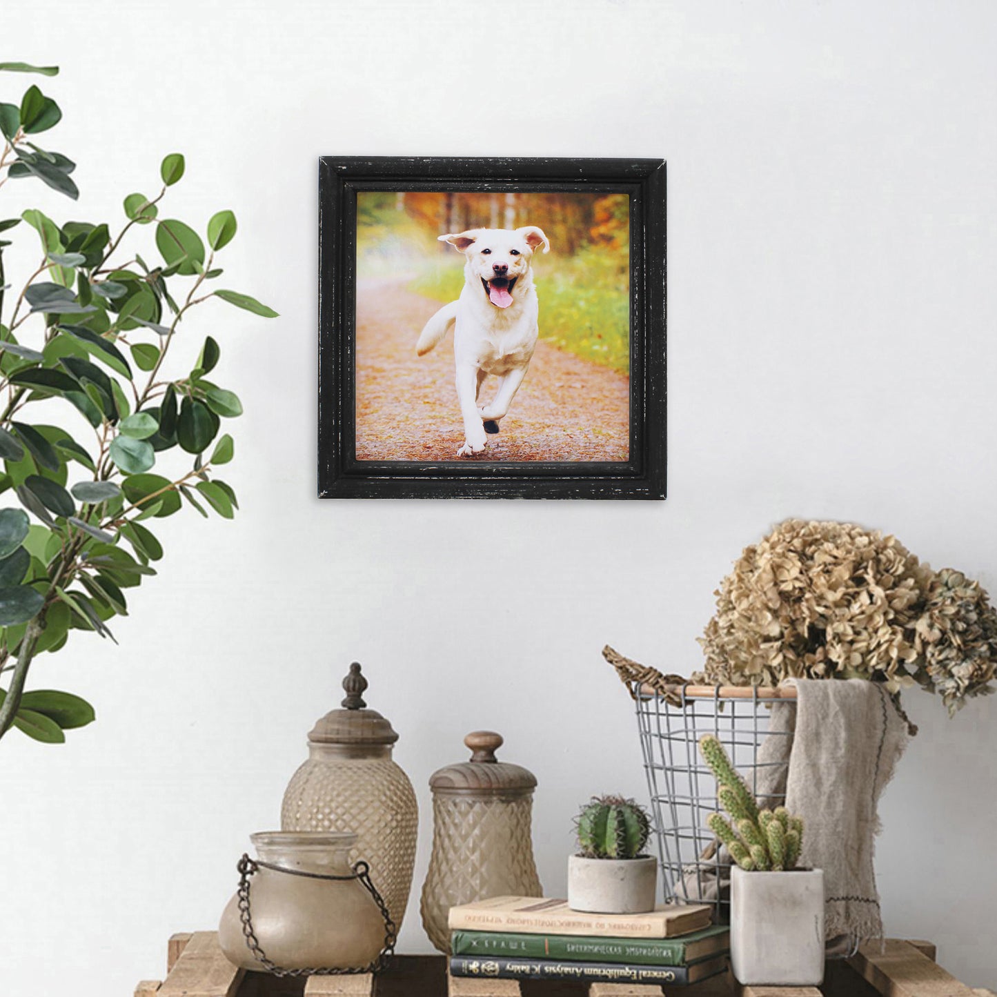 CVHOMEDECO. 8x8 Picture Frame Made of Solid Wood High Definition Glass Rustic Antique Designs Small Photo Frame for Tabletop Display and Wall Mounting, Distress Black